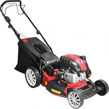 Benzin-Rasenmäher Big Wheeler 464.2 R LI-ES