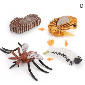 Life Cycle Simulation Animals Set - Cognitive Learning Toy (Frogs, Turtle, Ant, Mosquito, Chicken)