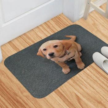 SILIKOLOVE 40x60cm Non-Slip Animal Bath Mat