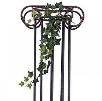 Barriera di Edera Classica 70cm