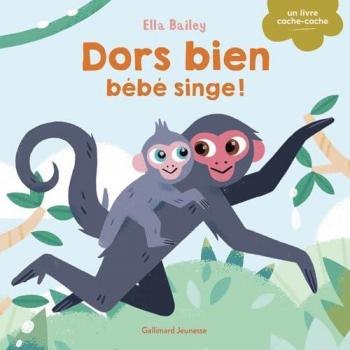 Dors bien, bébé singe (Jeunesse)