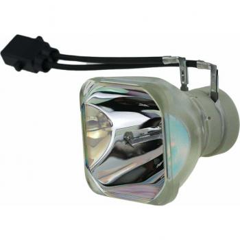 DT01431 Replacement Lamp
