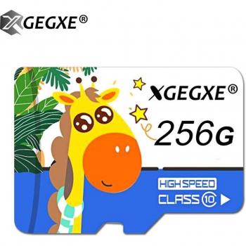 MicroSD Card 16GB