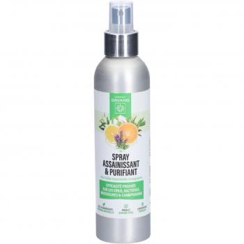 Dayang Assainissant Spray 200 ml