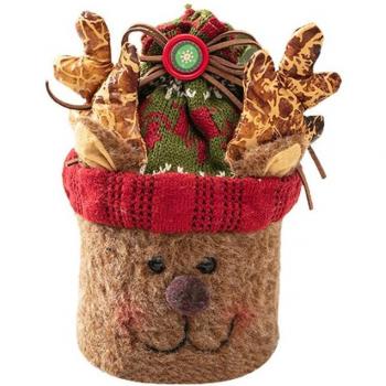 Boîte de Biscuits de Fête