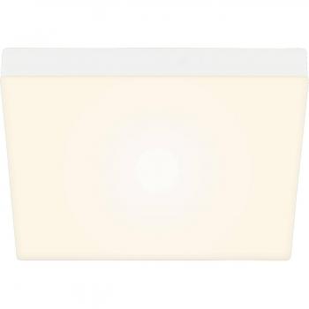 Briloner Wandleuchte + Deckenleuchte, LED Aufbauleuchte (2000 lm)