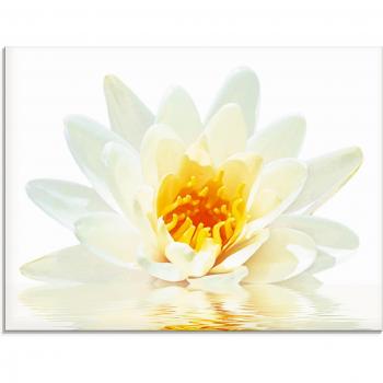 Lotusblume Glasbild von Artland