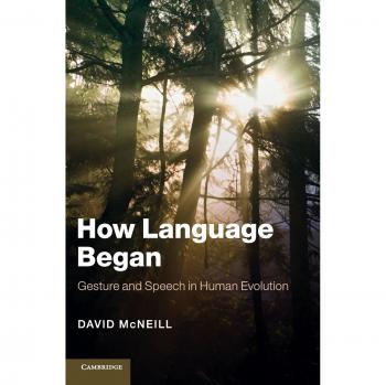 How Language Began: Gesture and Speech in Human Evolution (Approaches to the Evolution of Language)