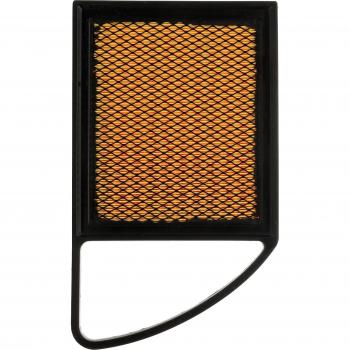 Aria Purificata RIDEX PLUS 8A0172P