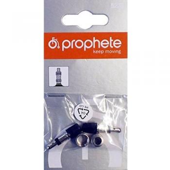 Prophete Patentventile, L, 5237