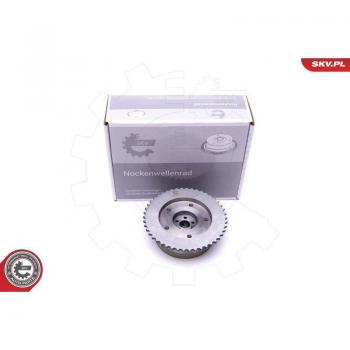 Albero a camme regolatore ESEN SKV 39SKV502