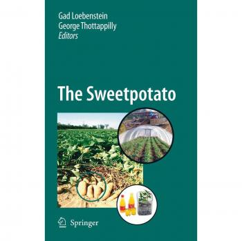 The Sweetpotato