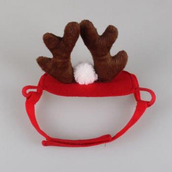 Chat Chapeau de Noël
