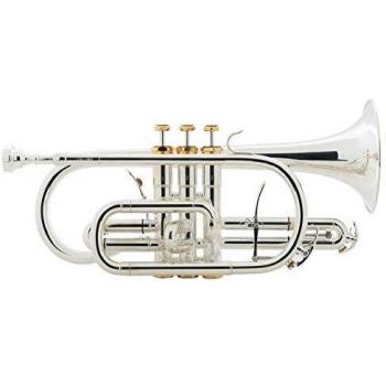 Coron d’Or Lechgold CR‑18S – Sib Argenté