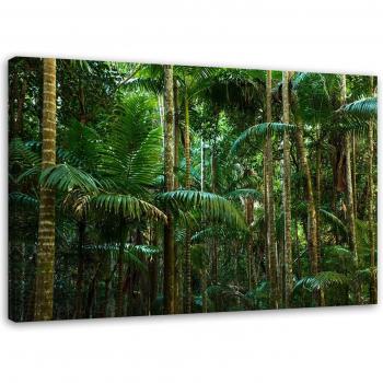Palme EcoFeeby 60x40