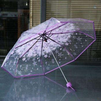 Clear View 3-Fold Umbrella for Rain Protection