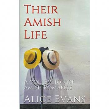 Their Amish Life