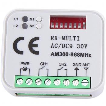 Module Récepteur 2Canaux 12V/24V Universel Rx Multi Fréquence 300-868 MHz