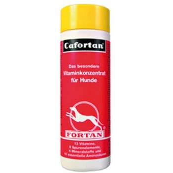 PHA Equine Vitamin B Complex Liquid