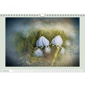 The joy of flowers (Wall Calendar perpetual DIN A4 Landscape)
