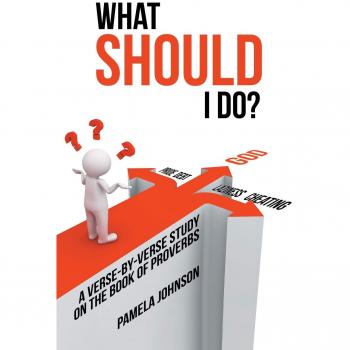What Should I Do?: A Verse-by-Verse Study on the Book of Proverbs