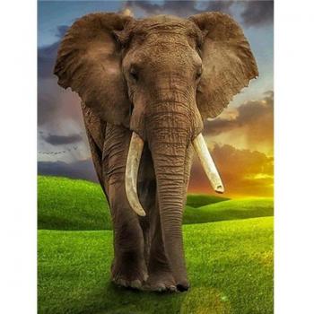 FaiDaTe Diamante 3D Elefante Ricamo 20x30cm