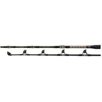 Canne à Pêche Shimano Tyrnos Roller Big Game