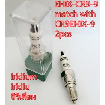 NPL Iridium Spark Plug EHIX-CR9-9 for RGU92C and compatible models (2-pack)
