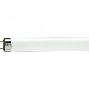 Philips TL-D buis 90 58W 150cm