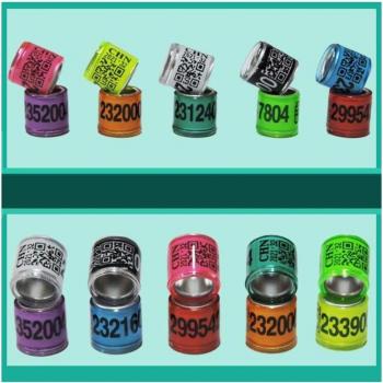 Kit de Bandas de Paloma 50x – Para Identificación Avícola