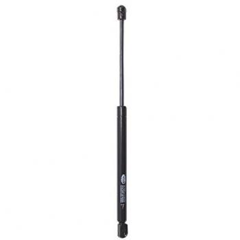 Muelle de gas MAGNETI MARELLI 430719067100