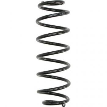 Suspensión SW202 – Muelle Magnum Technology