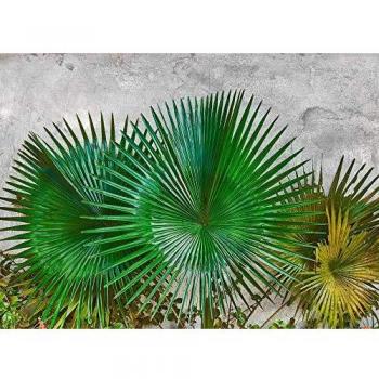 Tapisserie Agave Naturelle
