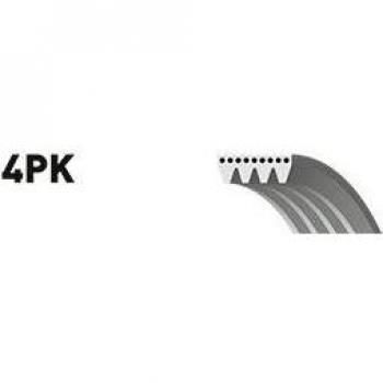 Gates V-Ribbed Belt 4PK703