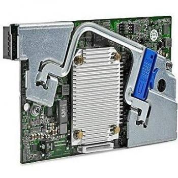 Hewlett Packard Enterprise Smart Array P244br