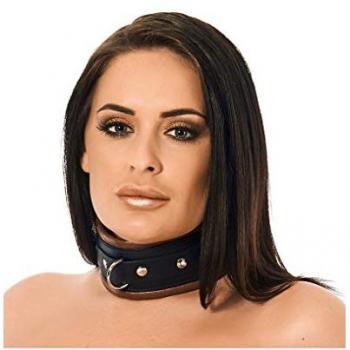 Collier en cuir brun à rembourrage