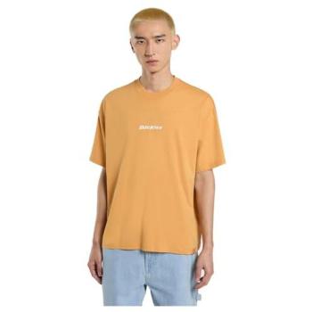Dickies Enterprise Oak Buff t‑shirt S