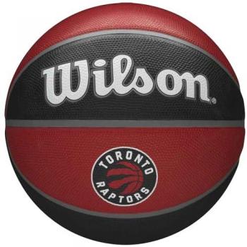 Raptors Tribute Red/Black Basketball