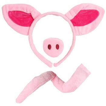 Sassy Swine Starter Kit