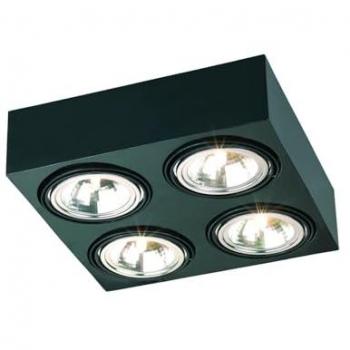 Netlighting Rodos Quad Surface Mounted Downlight Black Structure