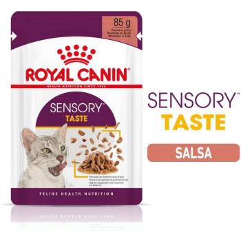 Royal Canin Sensory Taste Moist Cat Food in Sauce for Adult Cats