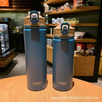 Thermal Water Bottle with Straw - 530/750ml Stainless Steel