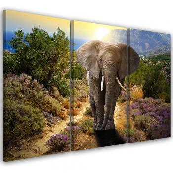 Décoration Murale Éléphant Safari Afrique 60x40 en Trois Parties