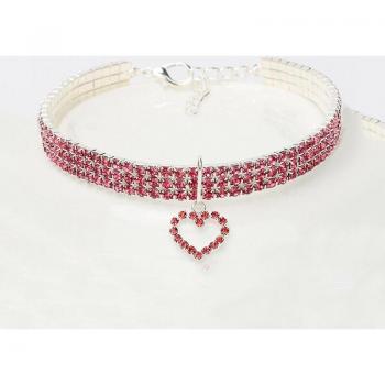 Collar Brillante para Gatos y Perros