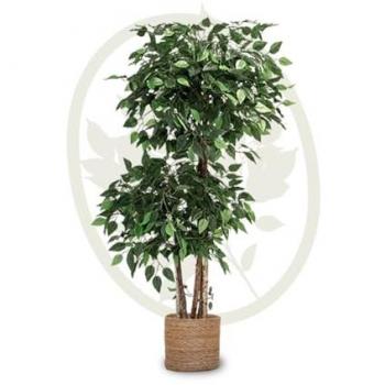Ficus artificial 150 cm con maceta