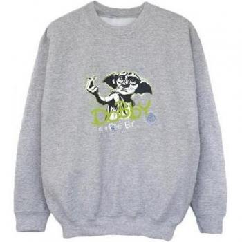 Harry Potter Jongens Dobby A Vrije Elf Sweatshirt 12-13 noir