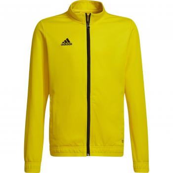Adidas Moletom Entrada 22 Rapazes