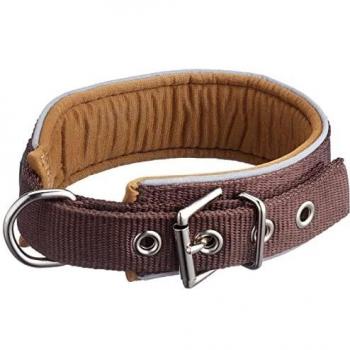 Hunter Neopren Reflect Halsband braun/karamell Größe M