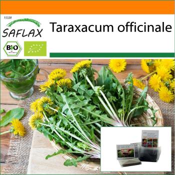 GardenZak Pissenlit Bio 400zaden