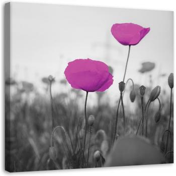 Violet Field of Poppies Wall Art – 30x30 Canvas